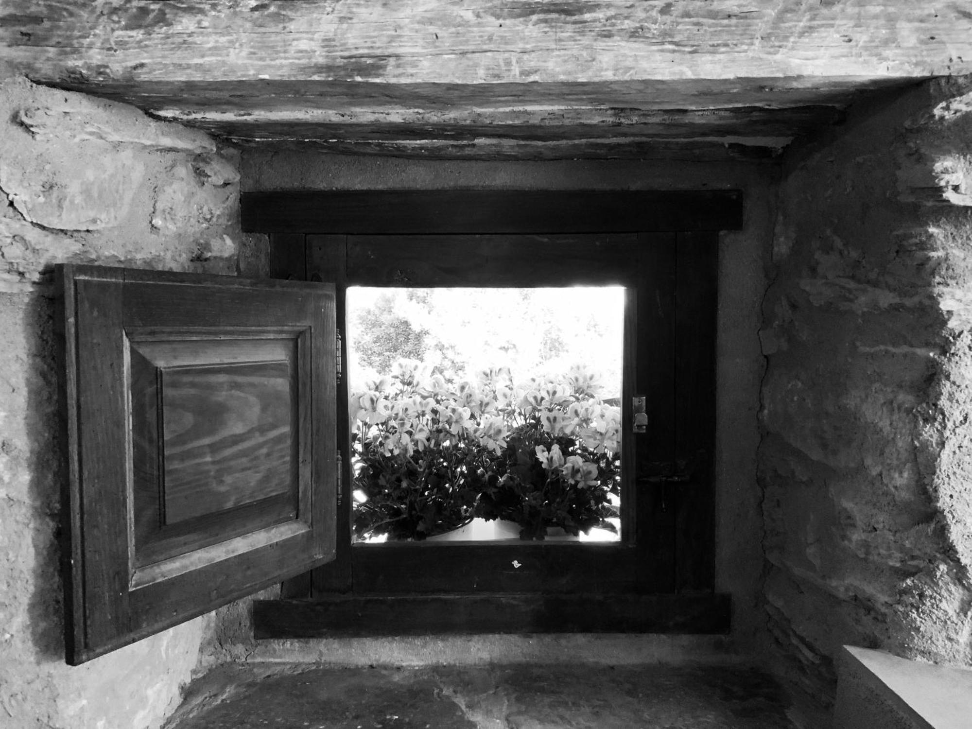 La Grulla Gris Casa de hóspedes Perales del Puerto Exterior foto